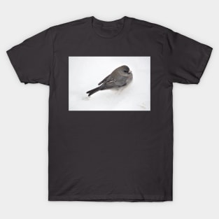 Winter Snow Bird 1 T-Shirt